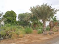 Rundgang im Kibbuz Kalia