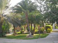 Botanischer Garten im Kibbuz En Gedi