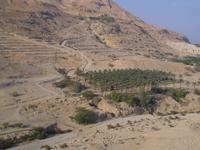 Umgebung des Kibbuz En Gedi