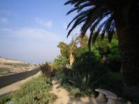 Botanischer Garten im Kibbuz En Gedi