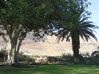 Botanischer Garten im Kibbuz En Gedi