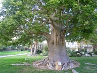 Botanischer Garten im Kibbuz En Gedi