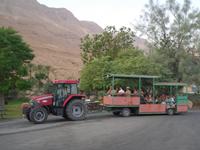 SPA En Gedi - Transport zum Toten Meer