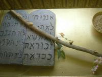 Timna-Nationalpark (Führung in der Stiftshütte)