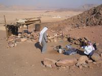 Beduinen auf Sinai
