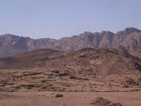 Sinai - ... unterwegs durch die Wüste ...