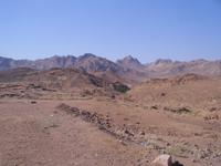 Sinai - ... unterwegs durch die Wüste ...