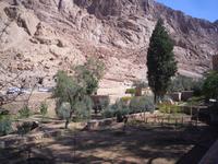 Sinai - ... auf dem Weg zum Katharinenkloster ...