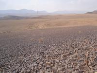 Wanderung am Ramonkrater (Mizpe Ramon)