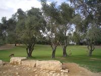 ... auf dem Weg zum Grab von David Ben Gurion ...