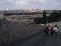 Spaziergang vom Ölberg hinunter in den Garten Gethsemane