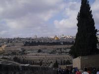 Spaziergang vom Ölberg hinunter in den Garten Gethsemane