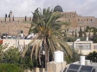 Blick in Richtung Altstadt mit dem Tempelberg