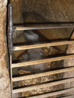 Besuch der Davidsstadt in Jerusalem