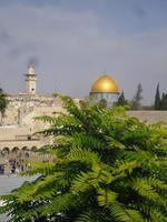 Blick vom Jüdischen Viertel hinüber zum Tempelberg