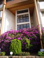 ... unser Hotel in Neve Ilan ...