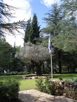 ... auf dem Herzl-Berg ...