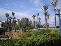 Jaffa- Abrasha-Park