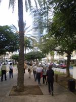Rundgang durch Tel Aviv - Rothschild Boulevard
