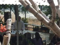 auch Gottesdienste wurde auf dem Berg gehalten