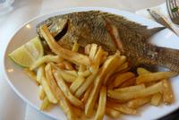 Fischessen am See Genezareth