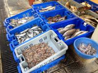 0060 Akko - arabischer Basar