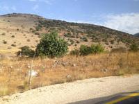 0074 Minenfelder in den Golan-Höhen