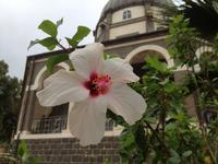 0093 Berg der Seligpreisung