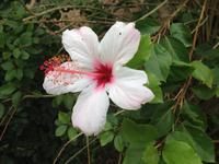 0094 Berg der Seligpreisung