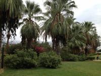 0096 Berg der Seligpreisung