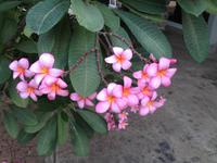 0114 am See Genezareth