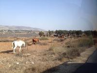 0156 unterwegs in Israel