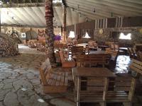 0239 bei den Beduinen