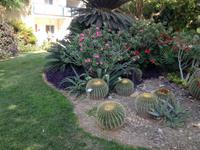 0286 botanischer Garten En Gedi