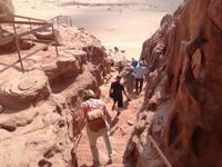 0338 Timna Park - Säulen des Salomon