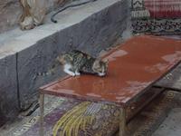 0399 Felsenstadt Petra