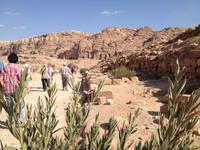 0411 Felsenstadt Petra