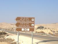 0465 Weinberge in der Negev-Wüste