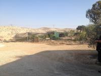 0472 Weinprobe in der Negev-Wüste