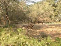 0486 Sede Boker - Wadi Zin