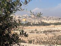 0563 Jerusalem - Blick vom Ölberg