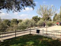 0574 Jerusalem - Dominus Flevit