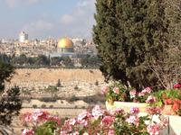 0575 Jerusalem - Felsendom von Dominus Flevit