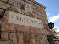 0579 Jerusalem - Garten Gethsemane