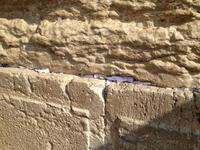 0660 Jerusalem - an der Klagemauer