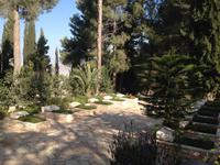 0718 Jerusalem - Soldatenräber auf dem Herzl-Berg