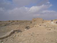 Avdat