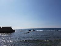 0229_Akko