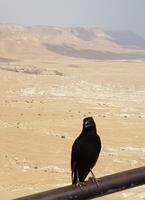 0518_Massada