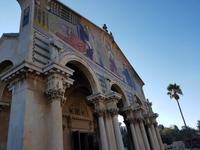 0905_Jerusalem; Gethsemane